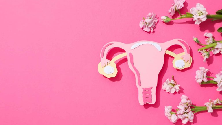 Women's health and women's healthcare concept with uterus